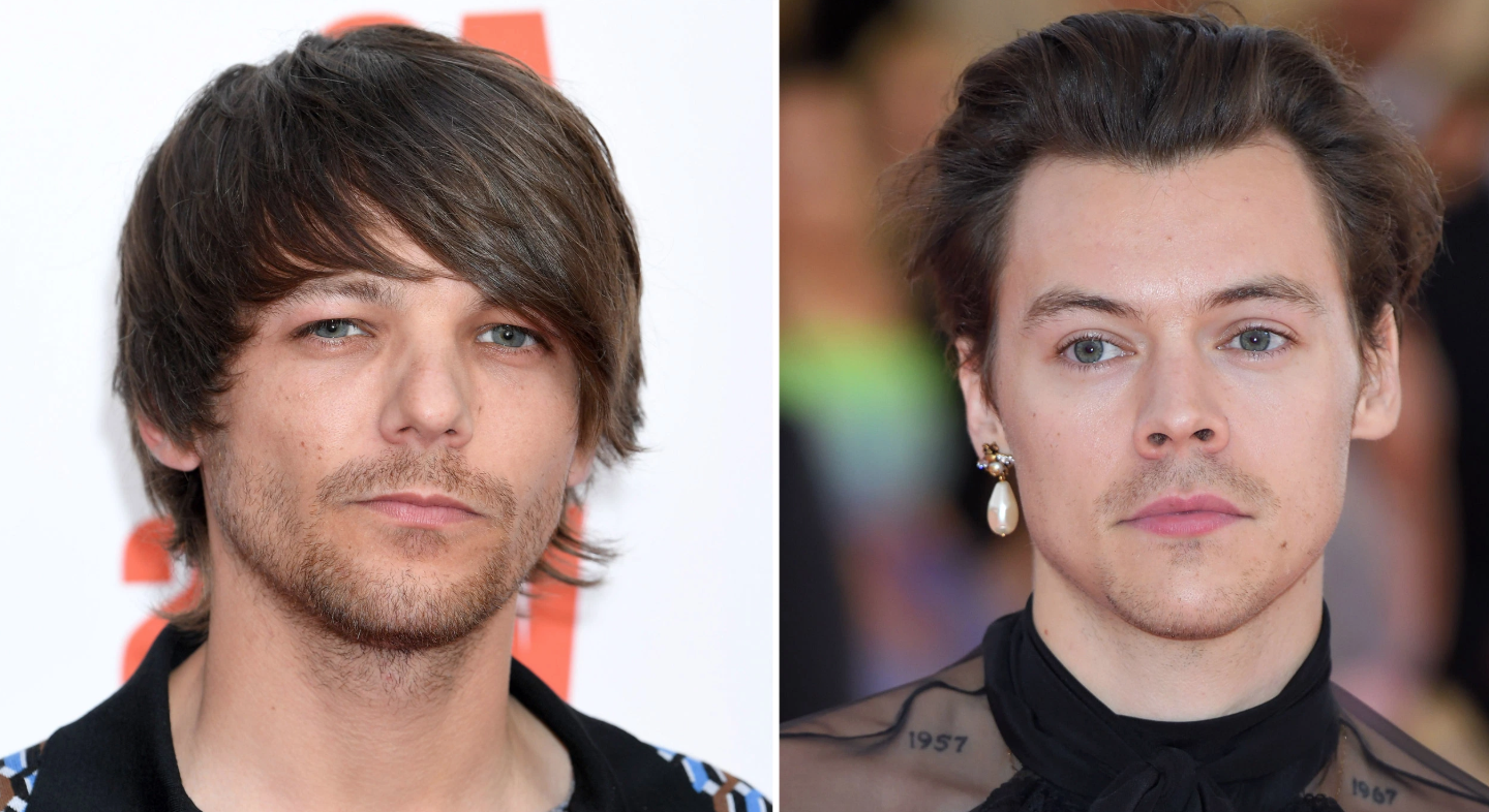 Louis Tomlinson Tried to Cheer Up Harry Styles After Fans Told Him He Looks  Ugly with His New Haircut | Mock Diaries